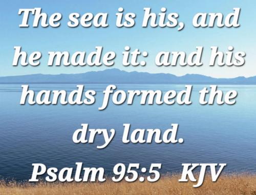 32acda4b-c143-4d53-aa93-9b5a7be0902a