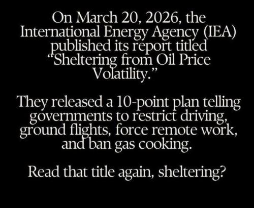 FB_IMG_1774445454865