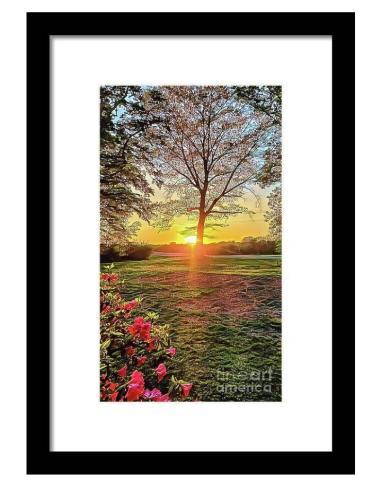 Screenshot_20260324_163806_Brave