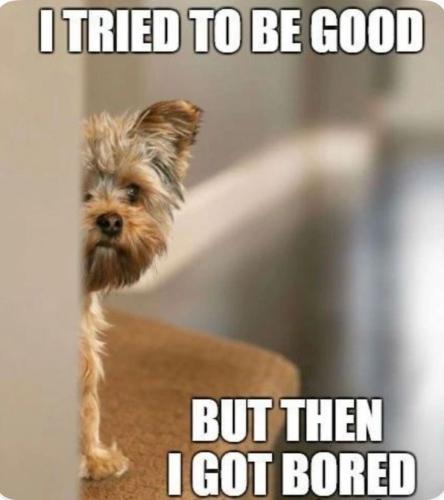 f719bb9a24b4fb08d816de5c3a8c2c09