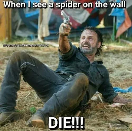 TESTHUB_photos_users_KPBY8Tc46ldqLjWXf6bqxqOW3AR2_-Oo648OXFsl0W4BAMoeX_img_rsz__1100x1100