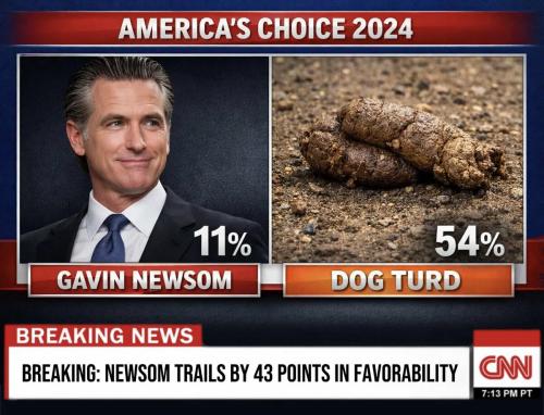 newsom-trails-43percent