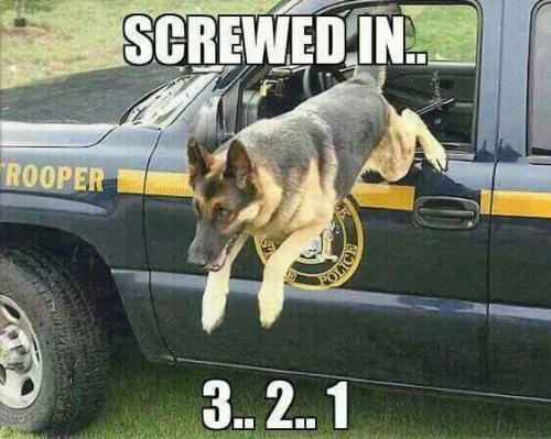 fde300897d58edf72520d243677a4b0f