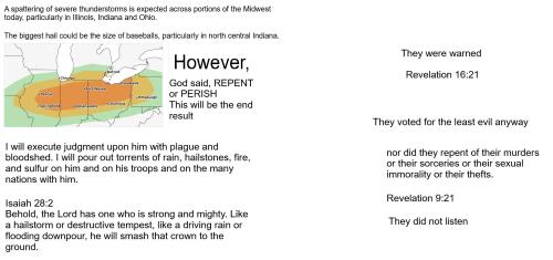 flock of seaagullsjpg