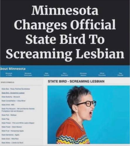 659113800_1480817907257577_5636415316978314807_n