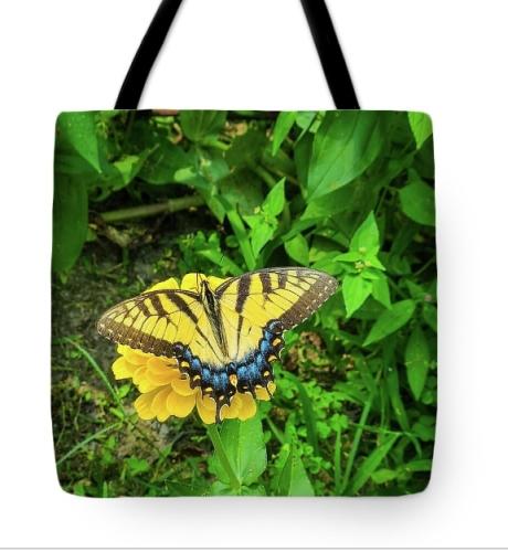 Screenshot_20260316_111148_Brave