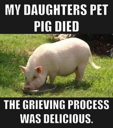 FB_IMG_1556819751613