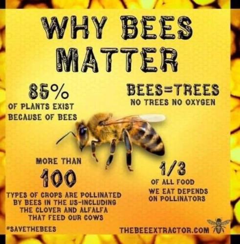 04be18e217d1c5209a8273ce96105e86