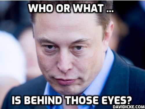 MUSK-EYES-IMAGE-500x375