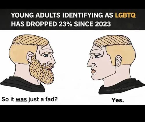 young-identifyin-lgbt-dop-23percent