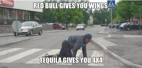 Screenshot_20260321_082933_Gallery