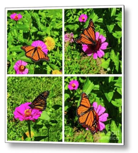 Screenshot_20260315_140319_Brave