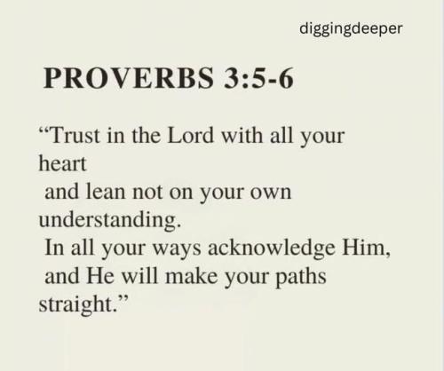 IMG_20260313_165320_958