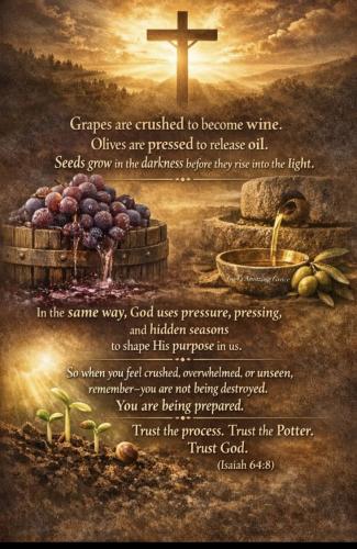 9ee7180e7143d863937d4d6025c7a7a9