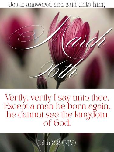 657050002_955275347006812_1092685955611660566_n