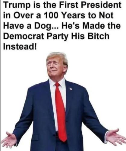 17745074327188860632249362818884_658773365634320