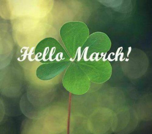 cd664c92961811c1c2353b703accf9e3