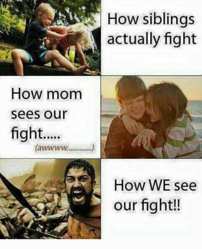 Screenshot_20260329_091746_Gallery