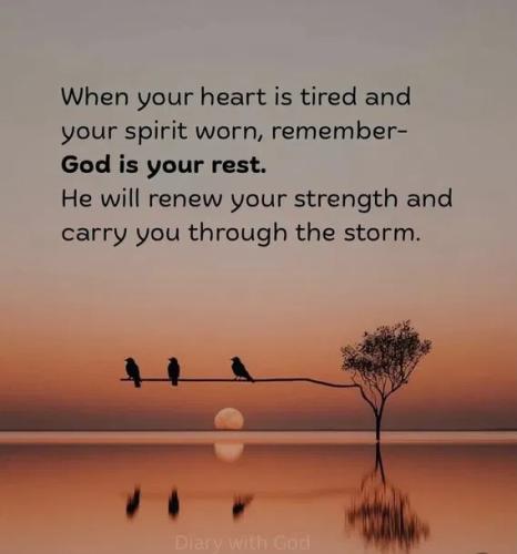 646cff281e1e9e88a4ce47ed2d2e97c2