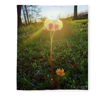 Screenshot_20260328_185055_Brave