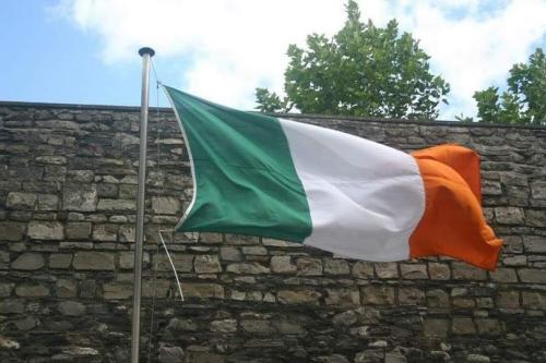 history_2023-11-14_19-06-36