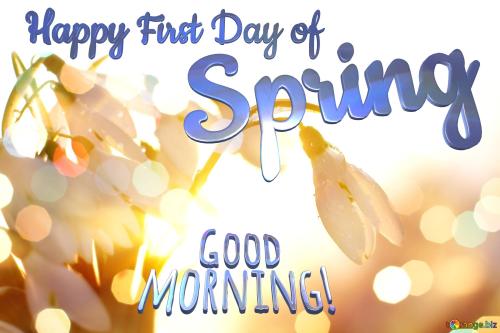 my-love-happy-first-day-spring-good-morning-spring-background-1762-3862732842