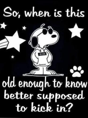 17745076012342959093591442783417_658939931990558