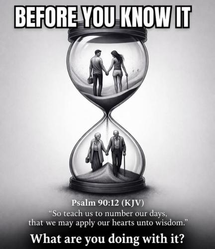 99f59113-ab0d-4436-bcfb-63331c928c94