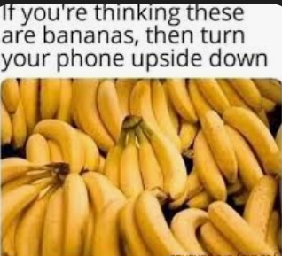 Screenshot_20260317_101758_Google