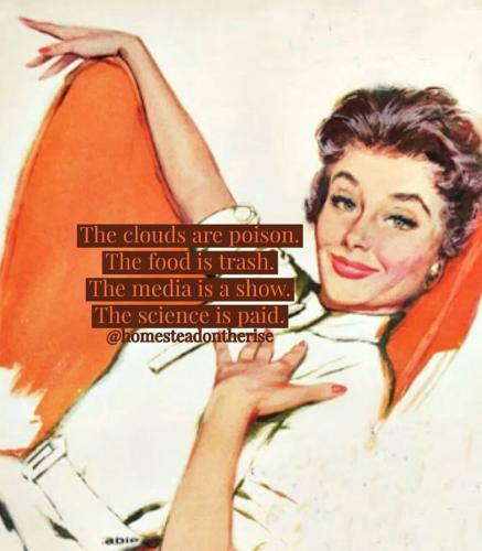 601ebf1aa87bda70cfd1b65d57b76e06