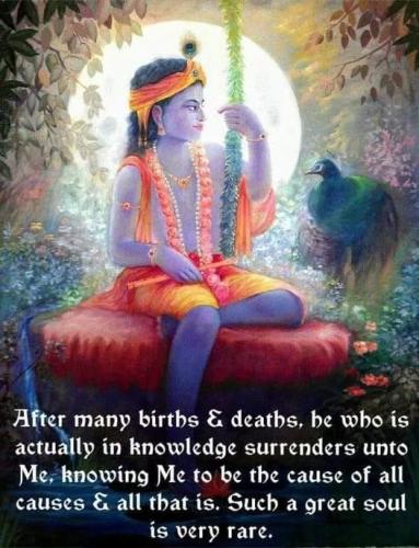 ,         418235313_73391130547