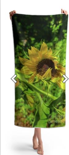 Screenshot_20260318_111345_Brave