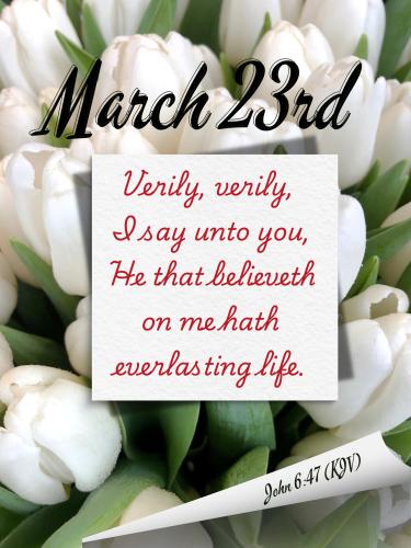 657276807_952752507259096_8026751543939591533_n