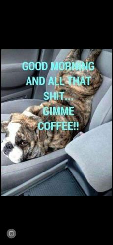 Screenshot_20260322_211611_Gallery