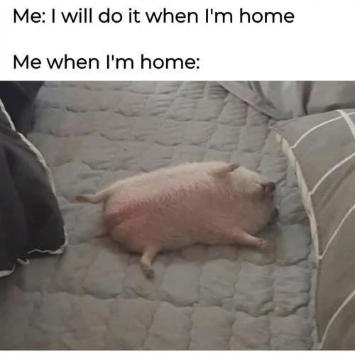 FB_IMG_1774310147632