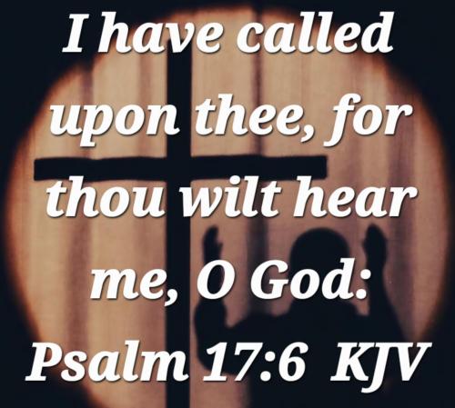 9c1261d0-fd40-4830-bf5d-689b379ed307