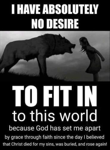 IMG_20260329_175934_264