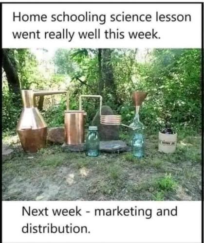 image_FEF85456-8F43-407F-8F5C-EADC4C75B392