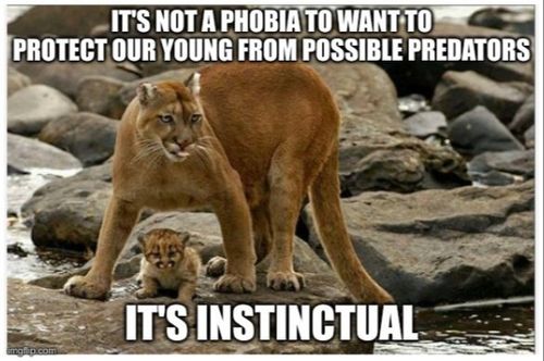 01kk4mwtjjtp1eev4cdt15xnp6