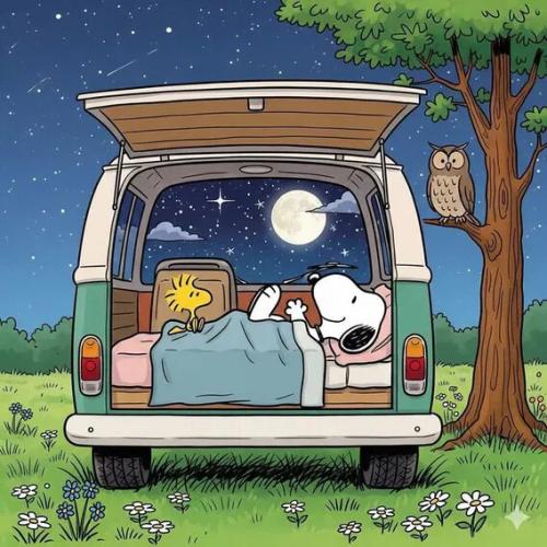 a6b4d4ff29594d84c8f8bc1db5a281bf