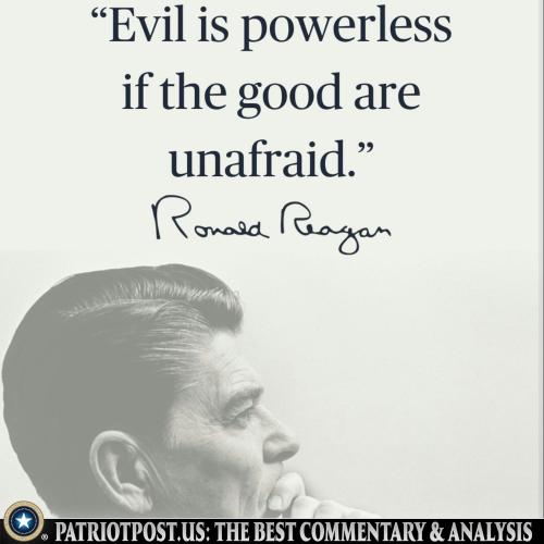 01KMQM2WJPN7BK84CCA6V9QF7F