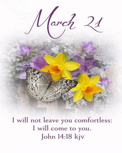 656653461_122168788208912506_1135080933310385532_n