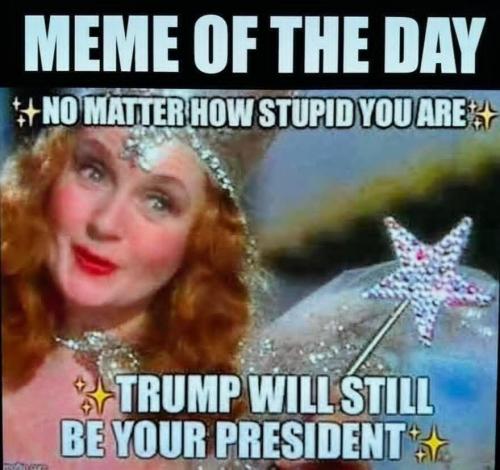 fd3f0f2d-0660-4591-bf22-ab0a83f4fff8