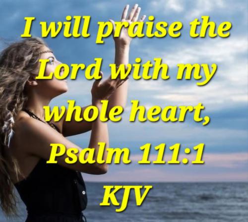 185362a5-8360-47f0-a624-4b85304bac49