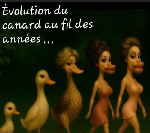 656374199_122104634594986277_7497759677403241961_n