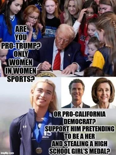 TESTHUB_photos_users_KPBY8Tc46ldqLjWXf6bqxqOW3AR2_-OoeXgl4fQRzEQU4s4VJ_img_rsz__1100x1100