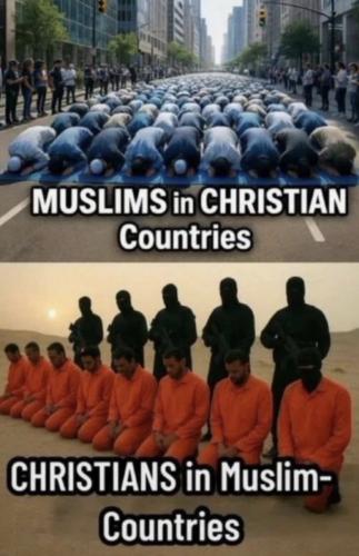 d0b50c55-2a70-49ae-8307-fc28e50ea549