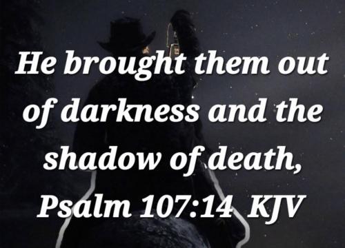 fd03a23c-9897-4dd2-bfc8-4ef3dc58d663