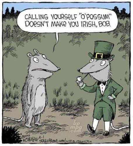 _()_main-qimg-c7ac8dc86890143525db36eaba96421c