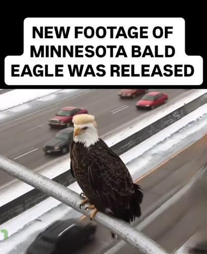 Screenshot_20260317_002804_Instagram